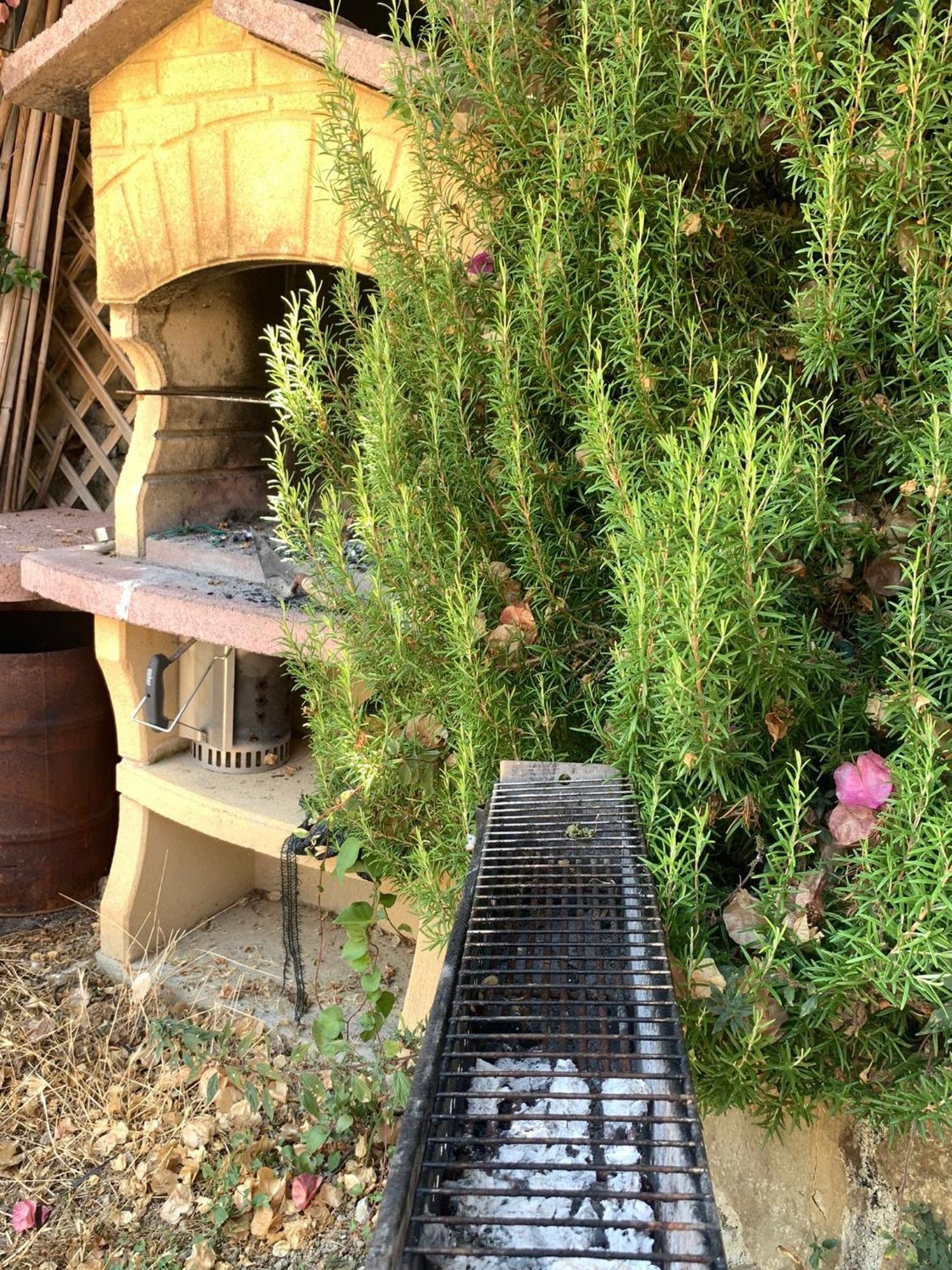 The Sea Flower Appartamento Con Giardino E Garage Auto Incluso Sanremo Eksteriør billede